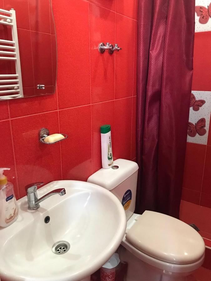 Max Hotel Gogi Alibegashvili 카즈베기 외부 사진