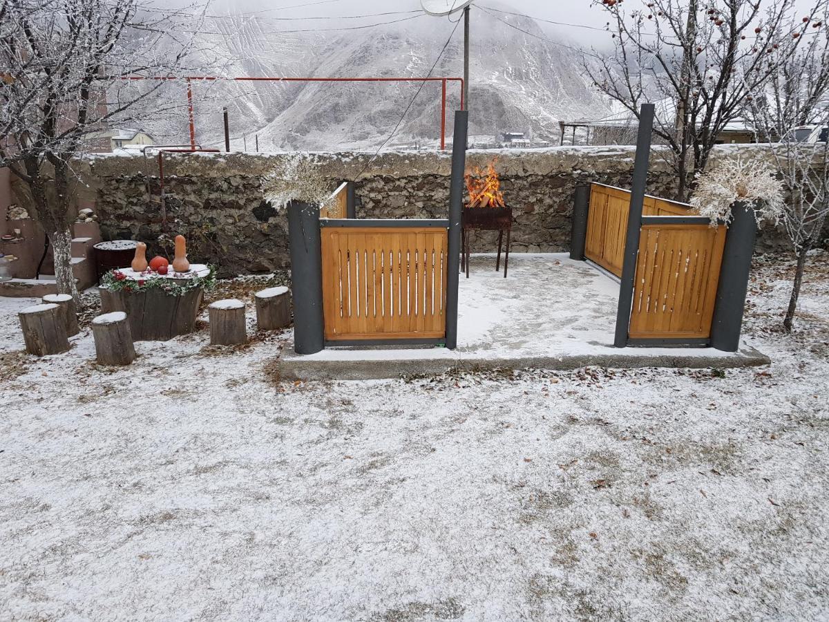 Max Hotel Gogi Alibegashvili 카즈베기 외부 사진